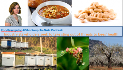 Soup-To-Nuts Podcast: Threats to bees threaten whole food industry