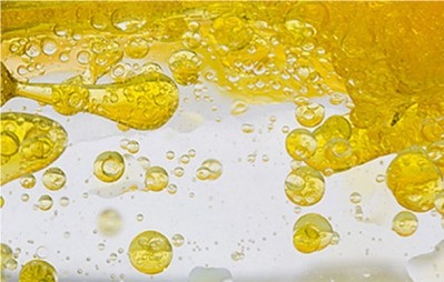 Solazyme expands algae oils JV with Bunge 