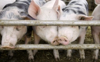 TPP: Canada to face questioning over pork subsidies