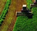 FAO calls for less dependence on fossil fuels to increase food production