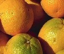 Orange juice price spikes after carbendazim scare
