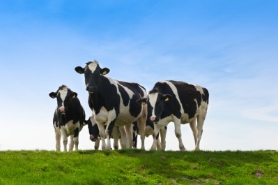 Friends of the Earth says farmer's will have to boost meat output by an extra 170 million tonnes by 2050 if global demand continues to rise