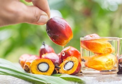 palm oil drip Wirachai