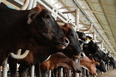 OTA to fight USDA decision to withdrawal organic animal welfare rule