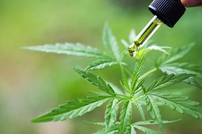 Socati launches two CBD products for the CPG market