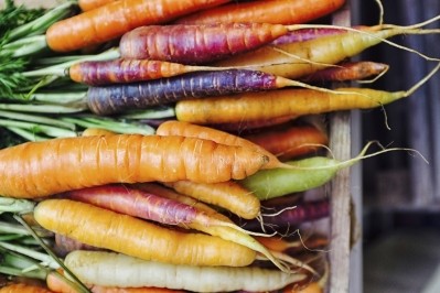 Startup Healthy PlanEat connects consumers with local farmers, advancing sustainable food movement