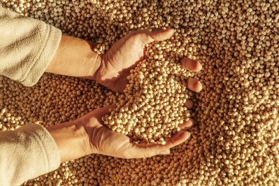Benson Hill scales production of ‘ultra-high protein’ soybean variety 