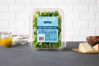 Little Leaf Farms raises $90m to further scale hydroponic greenhouse-grown lettuce
