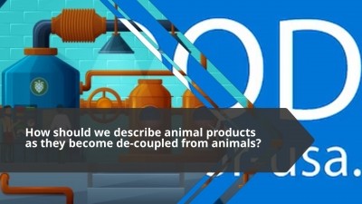 WATCH: What are 'milk,' 'meat,' and 'eggs?' And what do we call animal products as they become decoupled from animals?