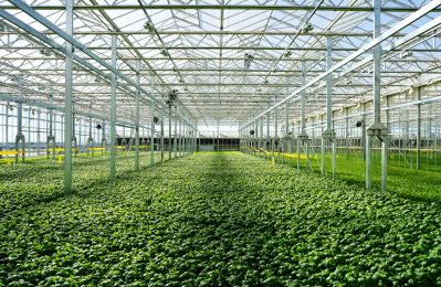 Gotham Greens doubles greenhouse footprint capturing under penetrated market opportunity for indoor farming companies
