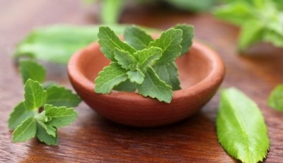 Stevia IP battle: Sweegen prevails in four-year-long patent dispute with PureCircle over Reb M 