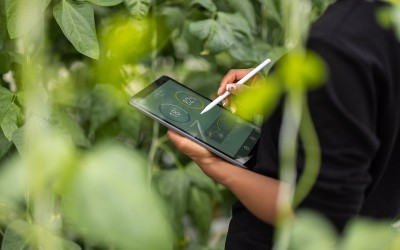 Rethinking the global food system: S2G Ventures highlights trends impacting the future of food