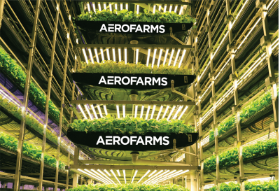 AeroFarms and Spring Valley Corp. terminate business combination to go public