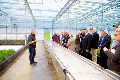 BrightFarms opens largest greenhouse to date