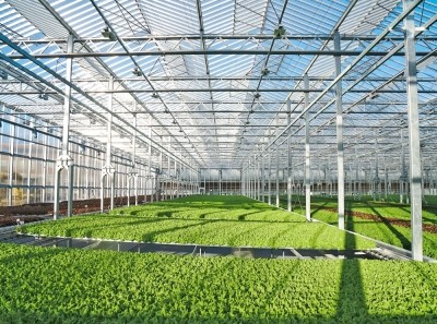 Gotham Greens goes west to unlock next growth chapter: ‘The indoor environment is relatively unexplored but offers fantastic opportunities’