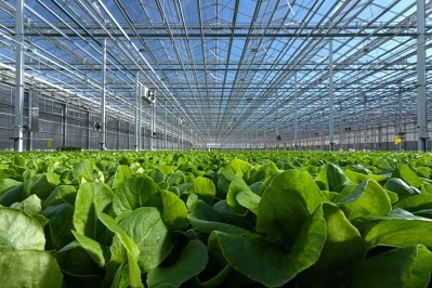 Revol Greens closes $68m funding round to become 'world's largest indoor lettuce producer'