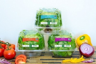 Vertical Roots expands hydroponic lettuce offering to 303 Food Lion stores