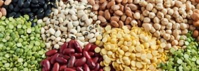 Legume-based snacks: a great alternative to industrial products