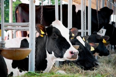 Eliminating animal-based food production  isn't panacea for health
