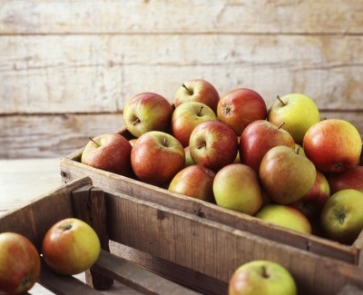 Study: Turning waste from apples into compostable packaging
