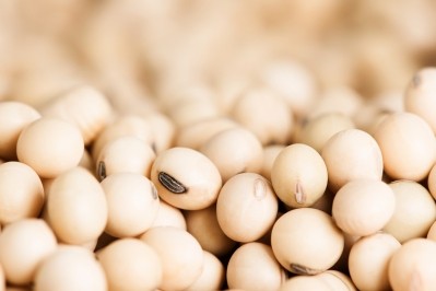 Benson Hill introduces 'ultra-high protein' soybean to compete with soy protein concentrate