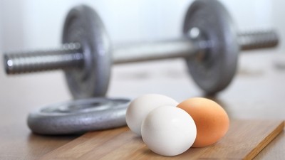 EGGS – A POTENT PROTEIN SOURCE