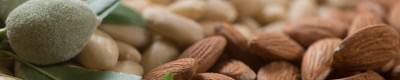 Optimizing California Almonds for Plant-Forward Formulations