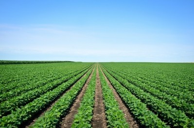 Unilever is piloting regenerative agricultural projects in Iowa, with a focus on soybean oil production. GettyImages/DS70