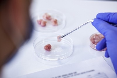A new pre-print study penned by researchers at the University of California, Davis (yet to be certified by peer review), suggests cultured meat production could be worse for the environmental than production of conventional beef. GettyImages/Mindful Media