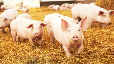 USDA expands National Pork Board with new members