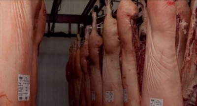 Two unnamed pork refrigerators have not followed regulations when slaughtering  