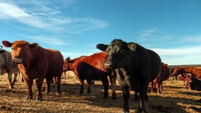 International beef bodies are calling for trade reforms to help boost the industry