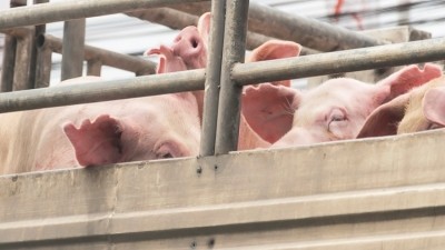 US livestock hauliers receive regulation reprieve