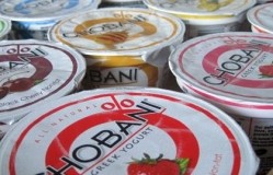 Chobani, which only started producing Greek yogurt in 2007, now commands a 20.6% dollar share of the overall US yogurt market compared with 13.9% this time last year, says the company.