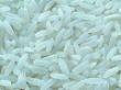 FDA releases preliminary data on arsenic levels in rice