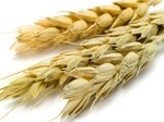 ADM, Cargill et al stand to benefit from Russian grain ban