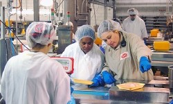 Tyson Foods will not increase the total number of chickens it processes in Arkansas