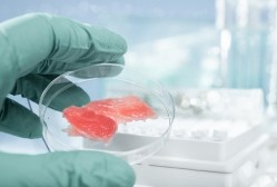 Firms are increasingly avoiding the term 'lab-grown meat' in favour of 'clean meat' or 'cultured meat'