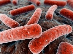 Firm secures US certification for E.coli kit