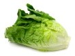 Conventional lettuce production can emit potent greenhouse gases.