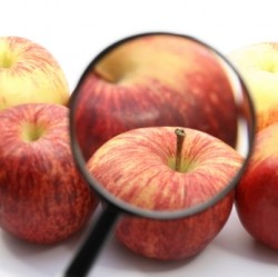 FoodNavigator-USA predicts top five industry influences in 2011