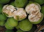 Imperial Sugar secures monk fruit supply deal for sweetener blends
