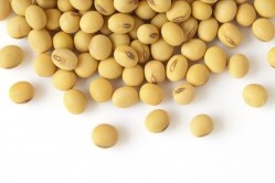 Cargill acquires soybean processing facility and refinery