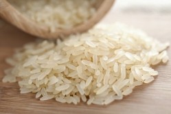 Roquette adds rice protein to plant-based protein ingredient toolbox