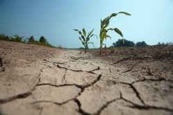Sustainable agriculture can help build resilience in terms of adaptation and sequestration, as well as food security, FoodNavigator hears. GettyImages/Drbouz