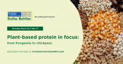 Plant-based protein in focus