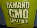 Prop 37, GMO labelling and a certain rat study…