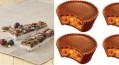 Hershey adds to its Brookside fruit & nut bar line, unveils Reese's Pieces Peanut Butter Cups