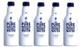 Pure Brazilian seeks slice of the US coconut water category