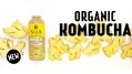  Suja unveils kombucha line with less sugar, more functionality 